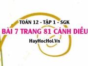 Bài 7 trang 81 Toán 12 tập 1 Cánh Diều